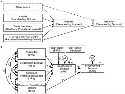 Using the theory of planned behavior model to predict factors influencing breastfeeding behavior among preterm mothers at week 6 postpartum: the mediating effect of breastfeeding intention